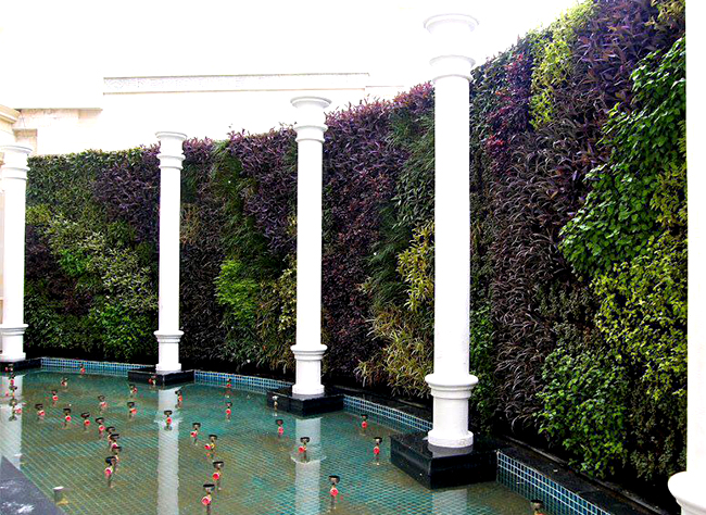 gardening design, apartment garden design, AgriTour, Agritourism, farms to visit in bangalore, farms for kids, farm holidays near bangalore, weekend farming, Big Banayan Tree Farm, Farms in Bangalore, Weekend Farm visit in Bangalore, school field trip